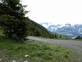 AUS31052009 (19)